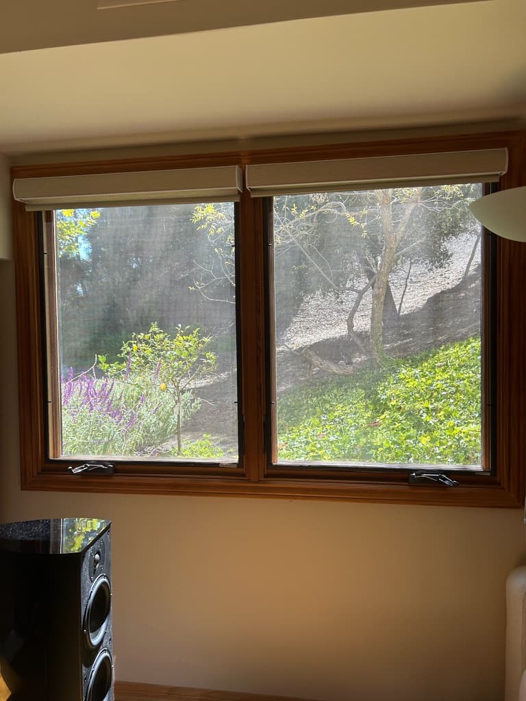 Wood Frame Windows